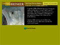 Captain Mike Homer