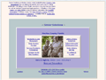 Senior Solutions of Pinellas County